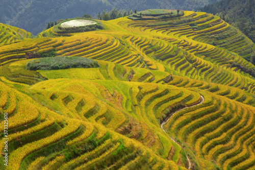 Longji Rice Terraces