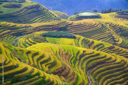 Longji Rice Terraces