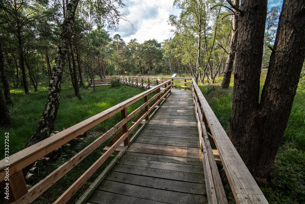 Wooden Walkway at the Otternhagener Peat or Turf Area, Germany Wooden Walkway at the Otternhagener Peat or Turf Area, Germany