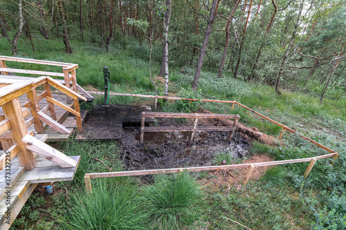 Wallpaper Mural Wooden Walkway at the Otternhagener Peat or Turf Area, Germany Torontodigital.ca