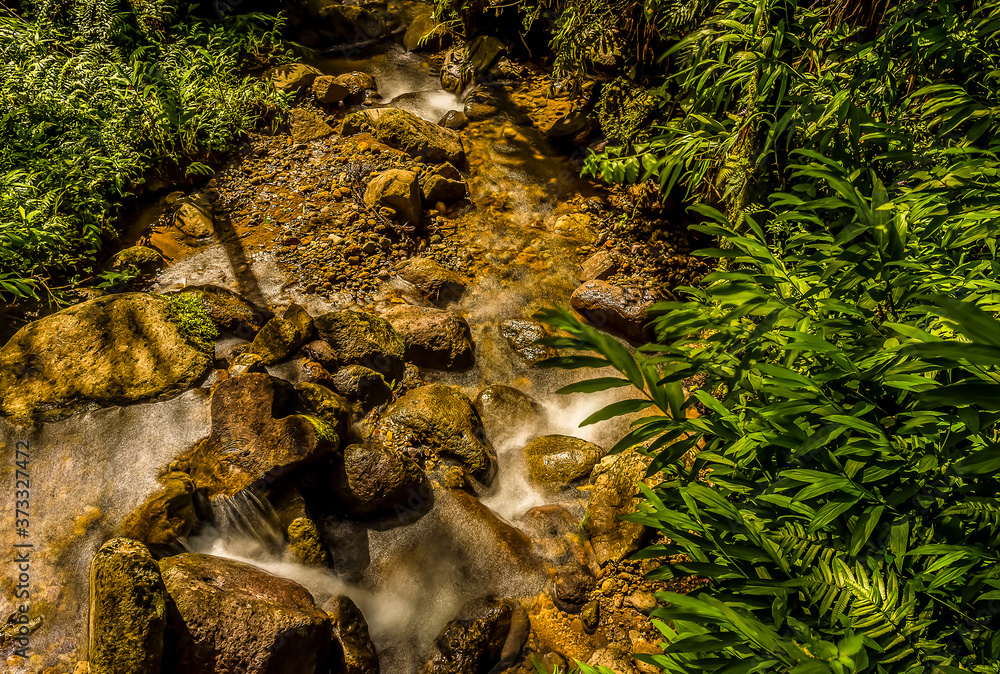 A long exposure view down a river channel in the Saint Denis area of the rain forest of Martinique A long exposure view down a river channel in the Saint Denis area of the rain forest of Martinique
