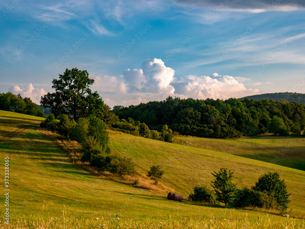 Beautifully lit landscape by the morning sun with a rolling meadow, forests and massive clouds in the sky
