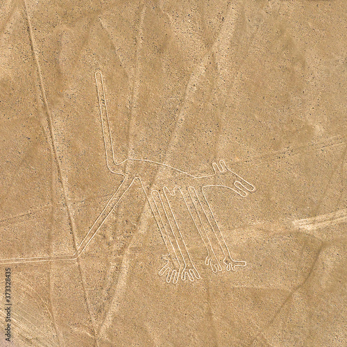 Fotografie The dog geoglyph drawing pattern in the peruvian desert known as the Nazca Lines near Nazca, Peru