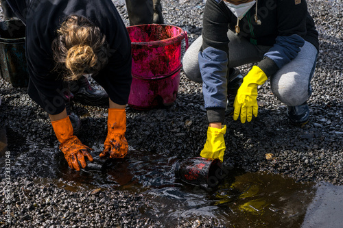 Volunteers clean the ocean coast from oil after a tanker wreck. Mauritius