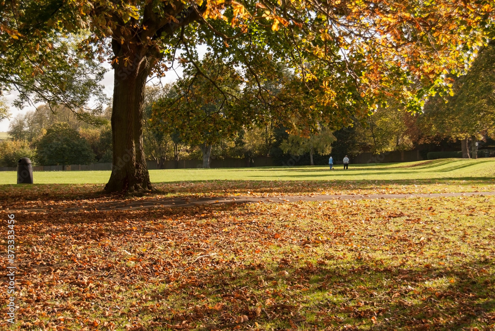 Dysart Park landscape in the fall,Grantham,UK. Dysart Park landscape in the fall,Grantham,UK.