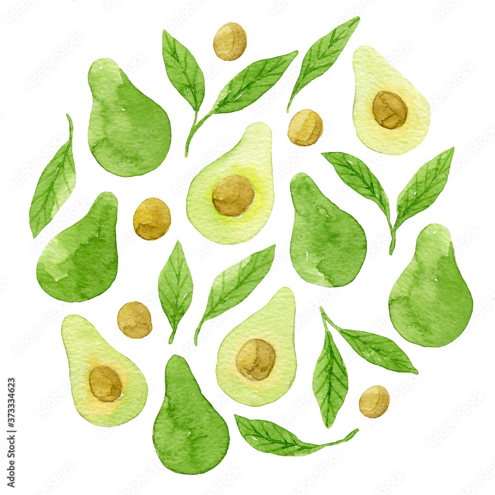 Obraz premium Watercolor whole and sliced avocado and green leaves. Botanical illustration.