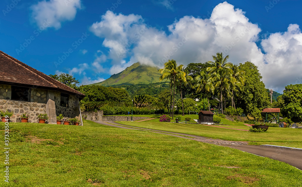 A view across a park in the foothills of the volcano, Mount Pelee in Martinique A view across a park in the foothills of the volcano, Mount Pelee in Martinique