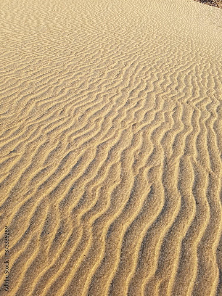 sand dunes in the desert