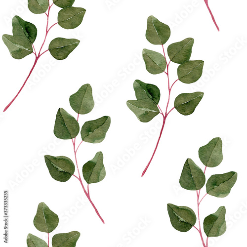 Watercolor eucalyptus leaves seamless pattern isolated on white background. Botanical illustration.