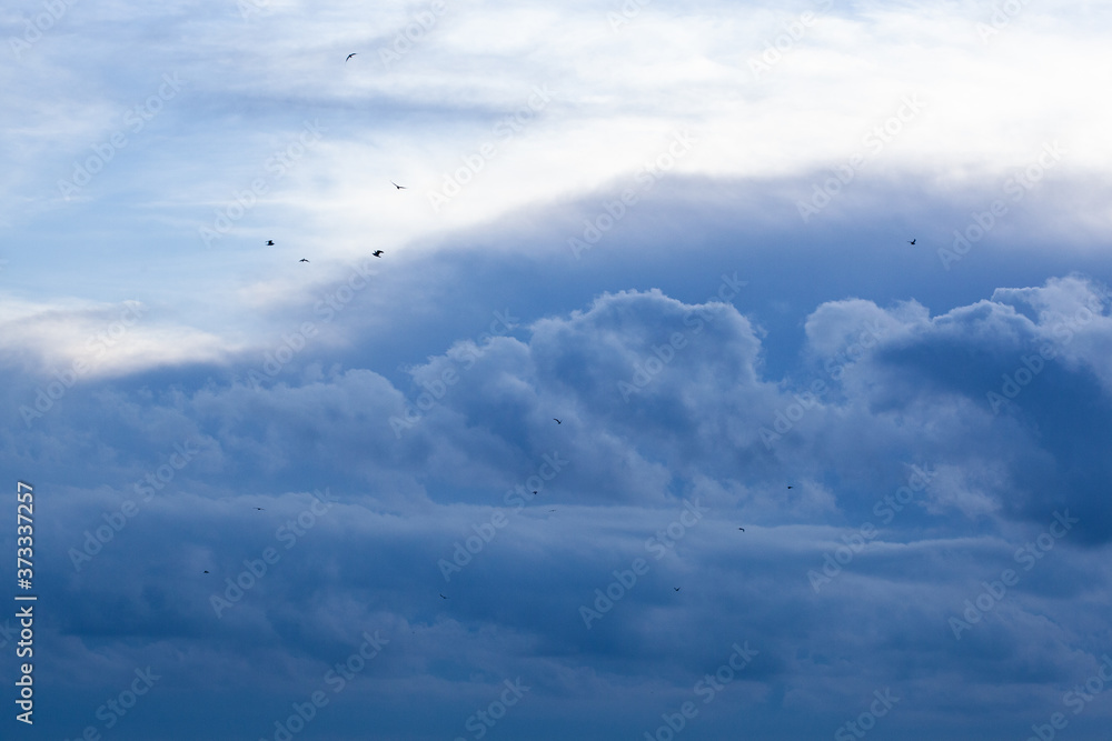Fototapeta premium blue sky background with tiny clouds