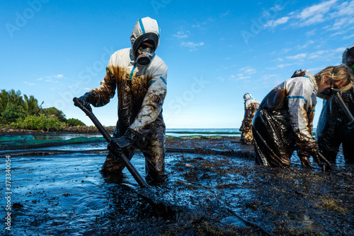 Fototapeta Volunteers clean the ocean coast from oil after a tanker wreck