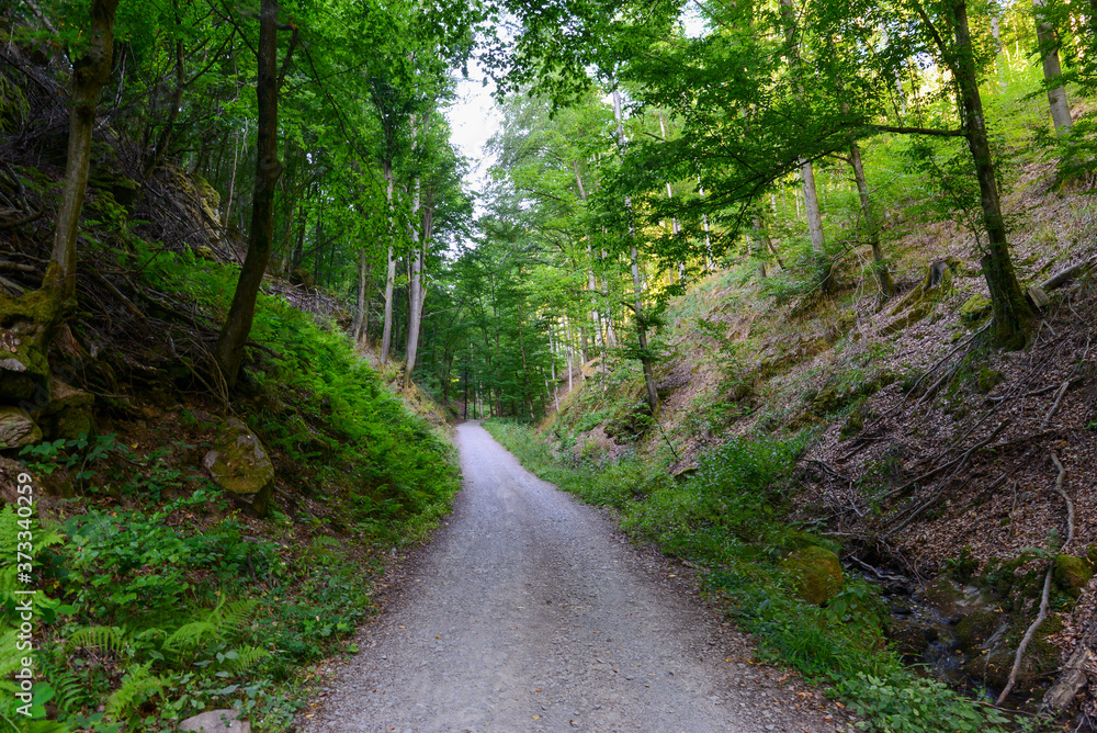 Rückersbacher Schlucht in Johannesberg/Aschaffenburg Rückersbacher Schlucht in Johannesberg/Aschaffenburg