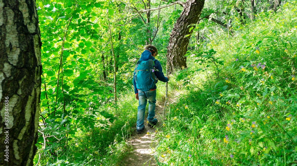 A boy scout with a trekking stick walks through the forest along a tourist route in search of a family camp. A boy with a tourist backpack is hiking along a forest path in search of adventure.
