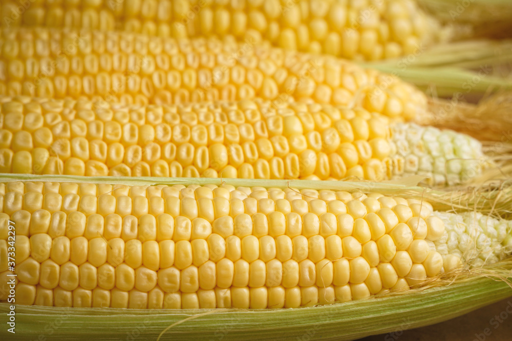 Corn cobs  on table