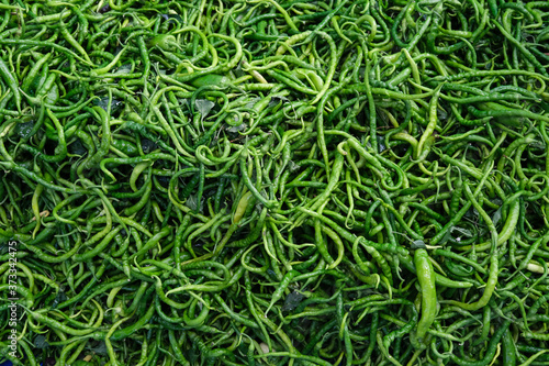 Preparation of fresh and organic green peppers for pickling