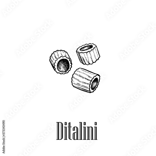 Italian pasta Ditalini. Hand drawn sketch style illustration of traditional italian food. Best for menu designs and packaging. Vector drawing isolated on white background.