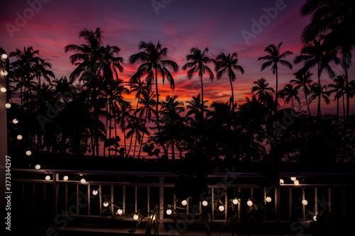 Palm trees silhouettes at sunset and electric garland, Samana, Dominican Republic  © Pavel