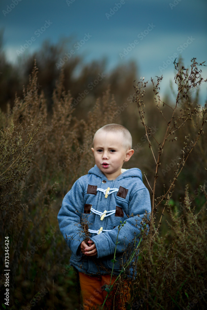 A little girl with short hair stands among dry grass in the middle of a field.