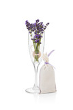 Aromatic lavender bouquet in champagne glass isolated