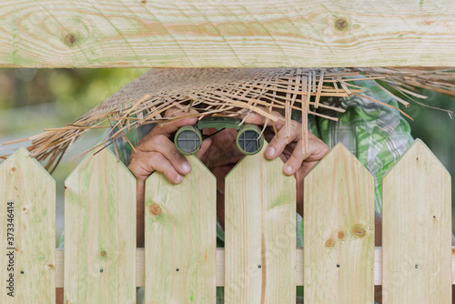 Fototapeta Curious neighbor stands behind a fence and watches