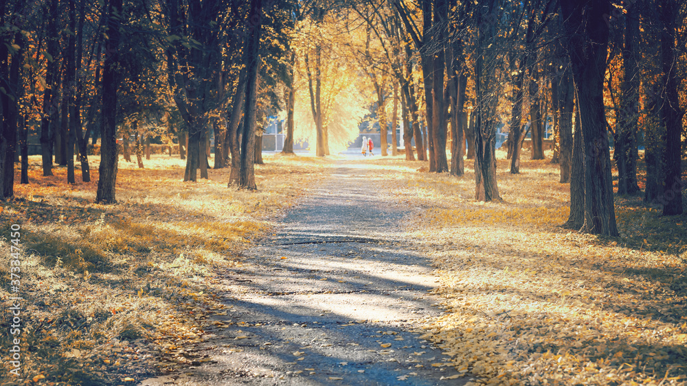 Beautiful autumn background, yellow leaves, tinted photo. Selective, soft focus. Beautiful autumn background, yellow leaves, tinted photo. Selective, soft focus.