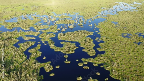 Aerial View On Yelnia Swamp In summer At Sunset.
