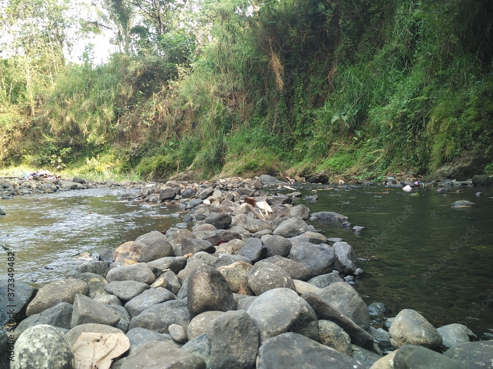 river in a very clear forest without waste pollution river in a very clear forest without waste pollution