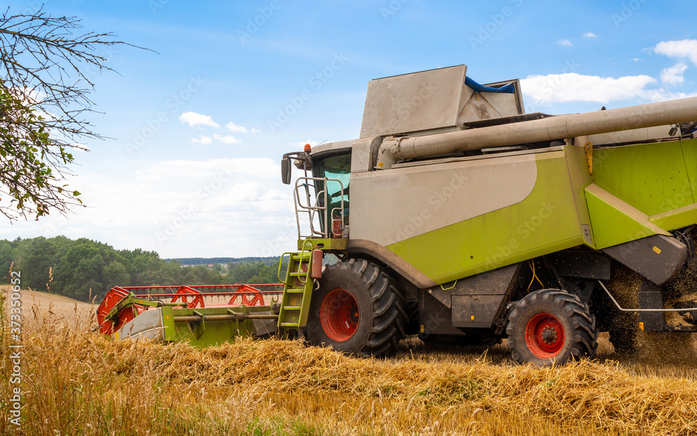 Fototapeta premium Combine harvester harvests ripe wheat in field of trees and beautiful blue sky with clouds. Reaping machine. Procurement of cereal seeds by combine for flour production. Side view, close up
