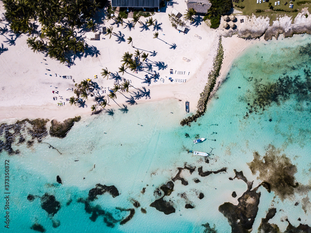 Aerial drone view of paradise beach with palm trees, transparent blue water of Caribbean Sea with coral reef on the bottom in Punta Cana, Dominican Republic 
