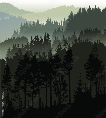 
landscape from the highlands with a forest shrouded in fog