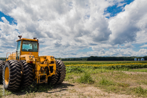 Big yellow tractor on sunflower and corn field blue cloudy sky
