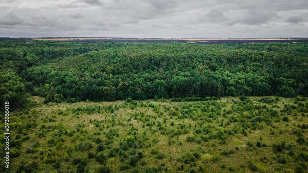 landscapes of wild nature in rural areas of the Russian Federation.aerial survey