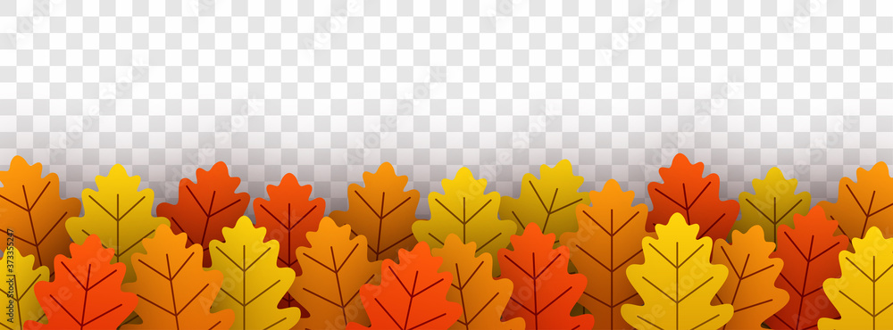 Autumn gold oak leaves on transparent background. - obrazy, fototapety, plakaty 