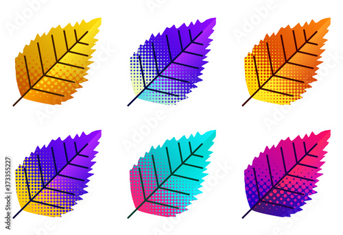 Set of dotted multicolored birch leaves.