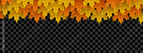 Autumn gold maple leaves on transparent background.