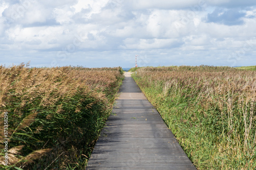 boardwalk in the dunes