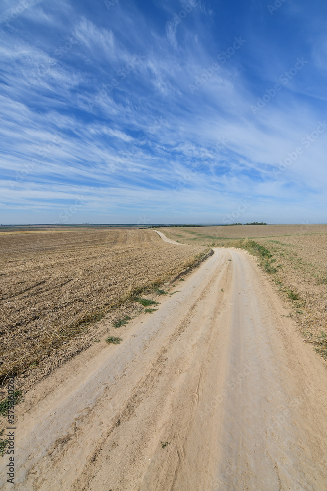 Autumn rural scenery of the dirt road running through cultivated agricultural fields, background of amazing blue sky. Copy space.