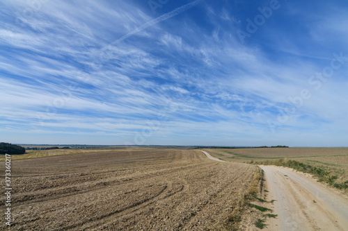 Autumn rural scenery of the dirt road running through cultivated agricultural fields, background of amazing blue sky. Copy space.