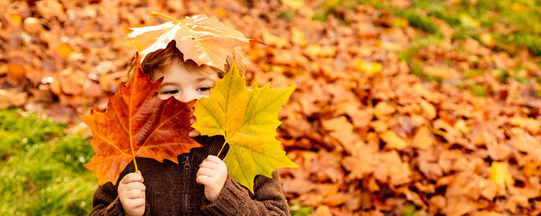 Kids play in autumn park. Children throwing yellow leaves. Child boy with oak and maple leaf. Fall foliage. Family outdoor fun in autumn. Toddler or preschooler in fall.