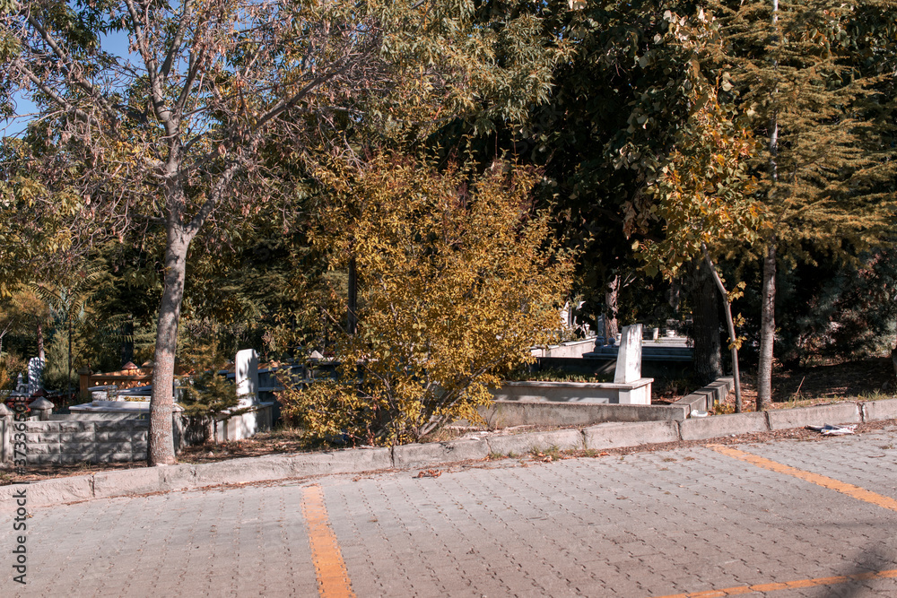 Turkish muslim cemetery among trees. View from large walking path inside the graveyard. Turkish muslim cemetery among trees. View from large walking path inside the graveyard.