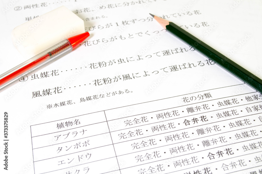 理科の勉強 理科の勉強