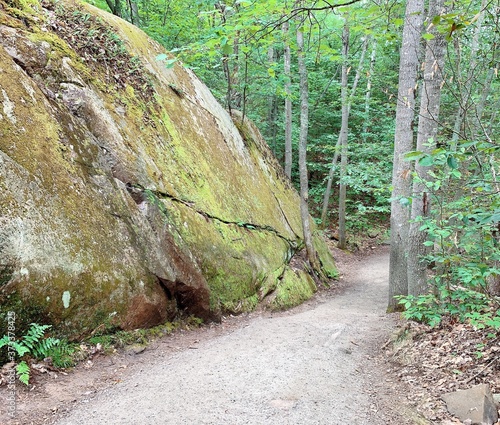 stone path in the forest