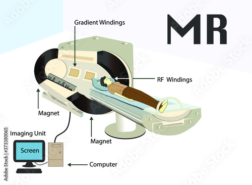 MR infographic. Magnetic resonance imaging. nuclear magnetic resonance imaging. magnetic resonance tomography. resonance subject for physics lesson. 