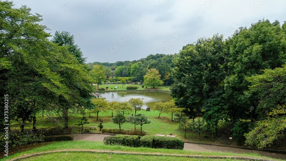 2020年夏の城山公園 大池 2020年夏の城山公園 大池