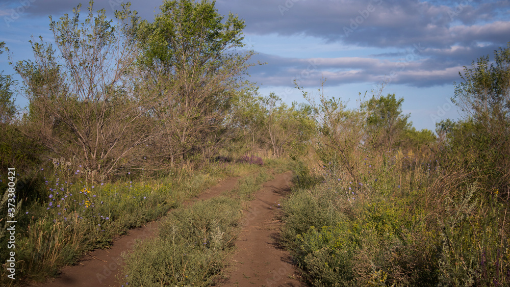 Morning landscape. Morning sun light. Dirt-track. Morning landscape. Morning sun light. Dirt-track.