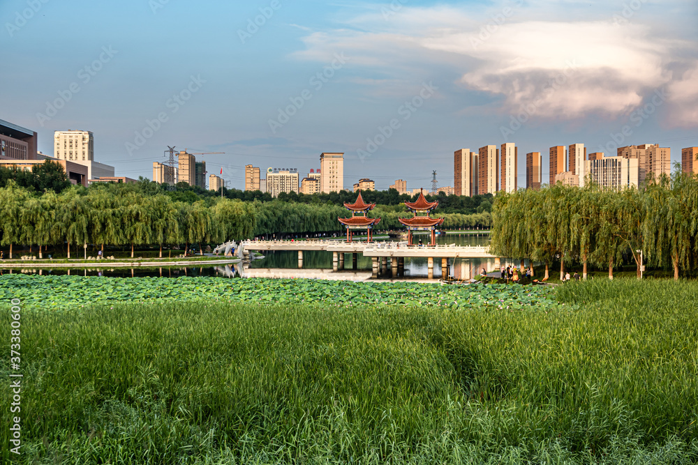 Landscape of Friendship Park in Changchun, China 