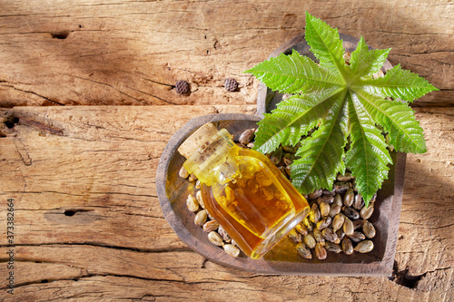 castor oil and seeds, on wooden background