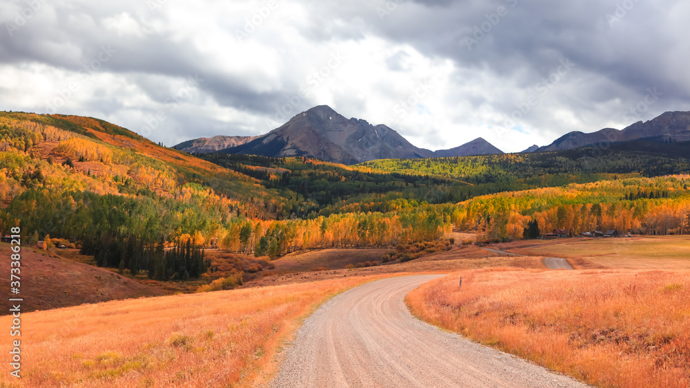 Obraz premium Colorful Aspen trees in autumn time at San Juan mountains ,Colorado 