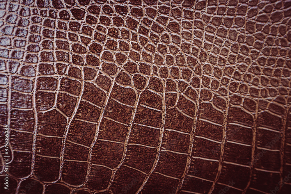 Crocodile leather pattern