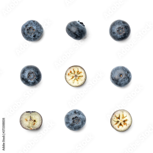 Collection of bog whortleberry isolated on white background